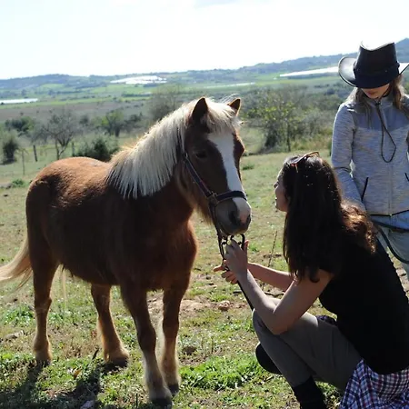 Sa Cova Vella Farm stay Manacor (Mallorca)