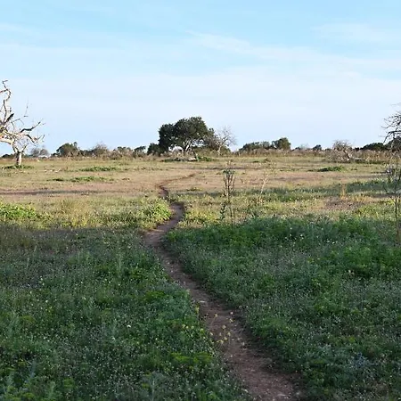 Gospodarstwo agroturystyczne Sa Cova Vella Manacor (Mallorca)