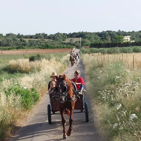 Sa Cova Vella *
