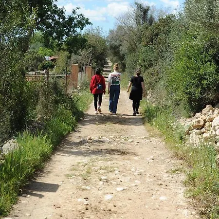 Sa Cova Vella * Manacor (Mallorca)