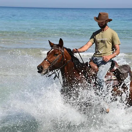 Farm stay Sa Cova Vella
