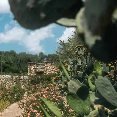 Sa Cova Vella Farm stay