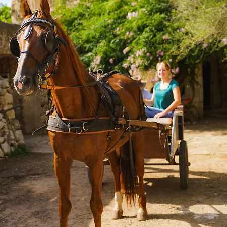 Sa Cova Vella Farm stay Manacor (Mallorca)