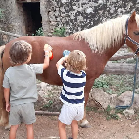 Farm stay Sa Cova Vella Manacor (Mallorca)