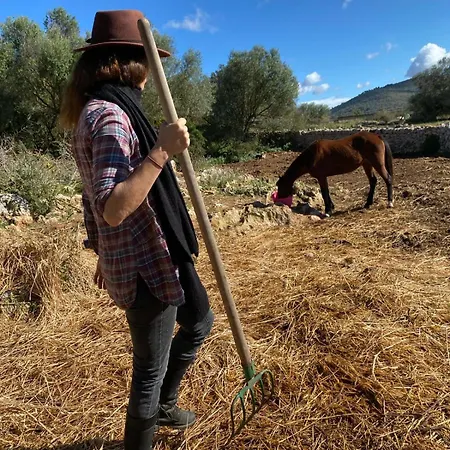 Sa Cova Vella Farm stay