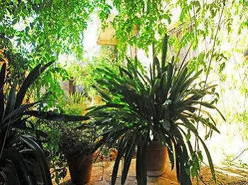 Farm stay Sa Cova Vella Manacor (Mallorca)